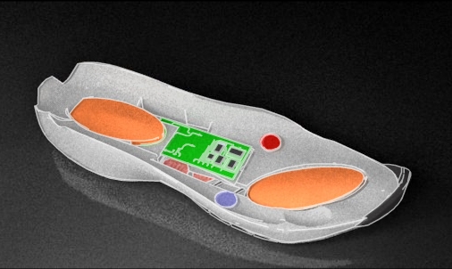 The computer chip that connects to the internet in the verb shoe